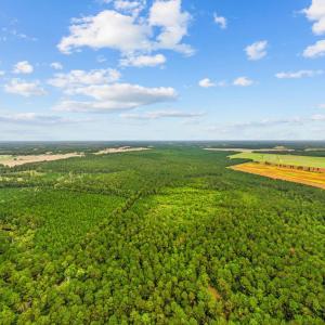 Photo #5 of TBD River Bend Rd., Loris, SC 200.0 acres