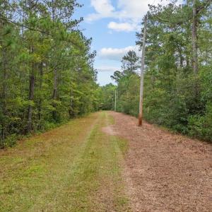 Photo #11 of TBD River Bend Rd., Loris, SC 200.0 acres