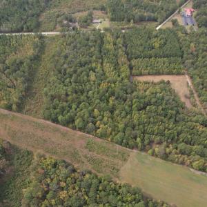 Photo #3 of 7+/- Acres Marion Church Rd., Salters, SC 7.5 acres