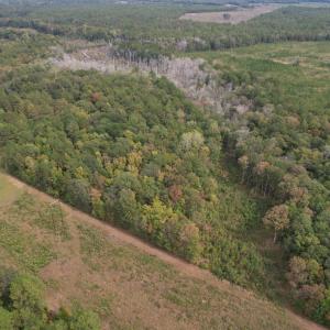Photo #10 of 7+/- Acres Marion Church Rd., Salters, SC 7.5 acres