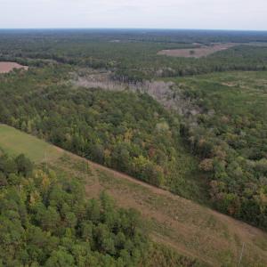 Photo #9 of 7+/- Acres Marion Church Rd., Salters, SC 7.5 acres