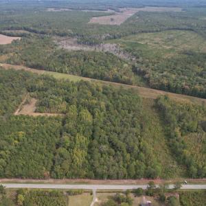 Photo #2 of 7+/- Acres Marion Church Rd., Salters, SC 7.5 acres