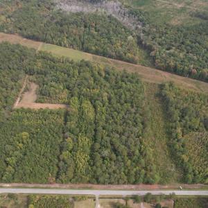 Photo #1 of 7+/- Acres Marion Church Rd., Salters, SC 7.5 acres