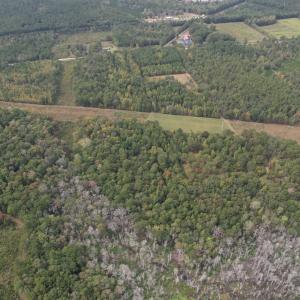 Photo #4 of 7+/- Acres Marion Church Rd., Salters, SC 7.5 acres