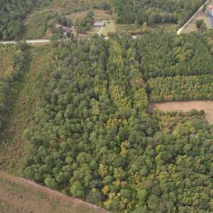 Photo #8 of 7+/- Acres Marion Church Rd., Salters, SC 7.5 acres