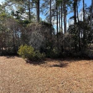 Photo #4 of 2001 Spring Valley Ct., Loris, SC 0.3 acres