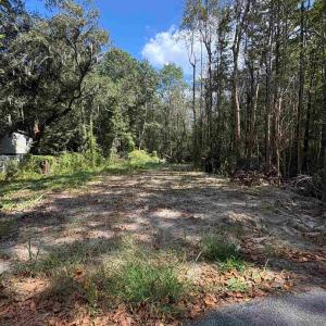 Photo #3 of TBD Waccamaw Lake Dr., Conway, SC 0.3 acres