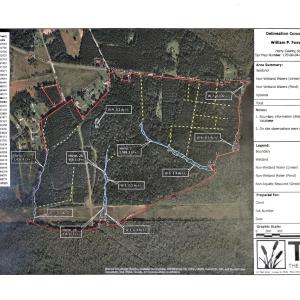 Photo #4 of TBD Old Bucksville Rd., Conway, SC 160.0 acres