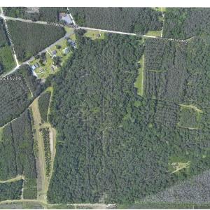 Photo #8 of TBD Old Bucksville Rd., Conway, SC 160.0 acres