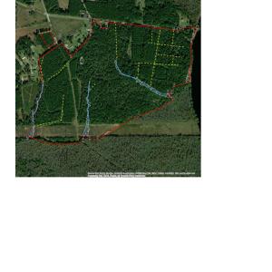 Photo #6 of TBD Old Bucksville Rd., Conway, SC 160.0 acres