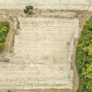Photo #15 of 9741 Highway 19, Loris, SC 3.9 acres