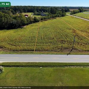 Photo #4 of TBD Highway 301, Hamer, SC 1.8 acres