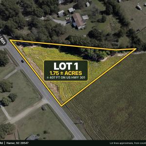 Photo #1 of TBD Highway 301, Hamer, SC 1.8 acres
