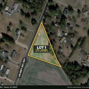 Photo #2 of TBD Highway 301, Hamer, SC 1.8 acres