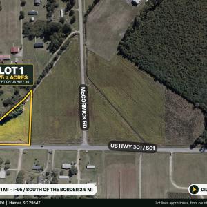 Photo #3 of TBD Highway 301, Hamer, SC 1.8 acres