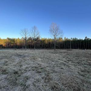 Photo #4 of 9207 County Line Rd., Nesmith, SC 3.7 acres