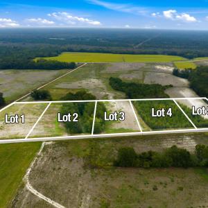 Photo #17 of Lot 1 Middle Rd., Nichols, SC 2.4 acres