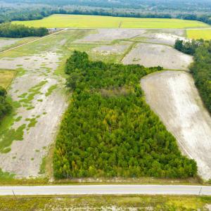Photo #7 of Lot 1 Middle Rd., Nichols, SC 2.4 acres