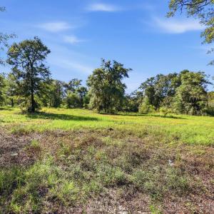 Photo #5 of TBD Reds Landing Rd., Andrews, SC 20.4 acres