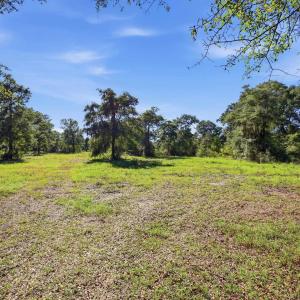 Photo #4 of TBD Reds Landing Rd., Andrews, SC 20.4 acres