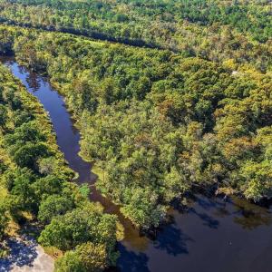 Photo #30 of TBD Reds Landing Rd., Andrews, SC 20.4 acres