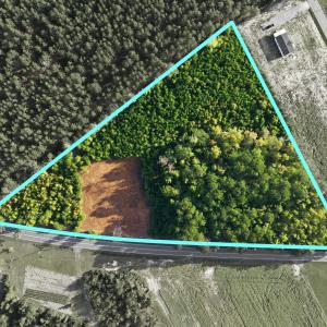 Photo #2 of TBD Hubert Baxley Rd, Mullins, SC 4.6 acres