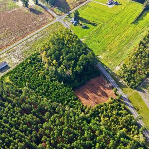 Photo #3 of TBD Hubert Baxley Rd, Mullins, SC 4.6 acres