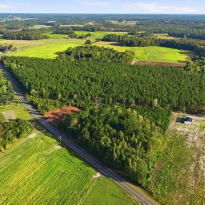 Photo #6 of TBD Hubert Baxley Rd, Mullins, SC 4.6 acres