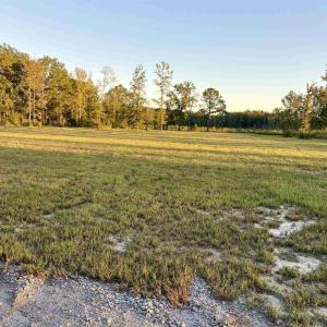 Photo #5 of 2710 Holly Rd., Marion, SC 10.0 acres