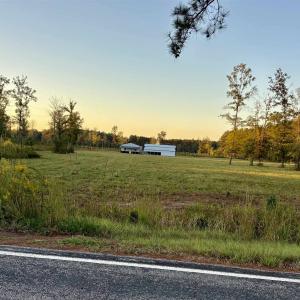 Photo #3 of 2710 Holly Rd., Marion, SC 10.0 acres