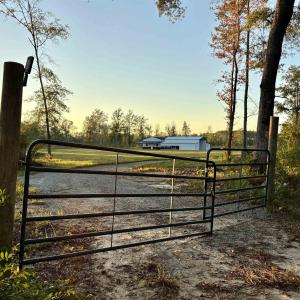 Photo #4 of 2710 Holly Rd., Marion, SC 10.0 acres