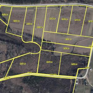 Photo #9 of TBD Terrell's Bay Rd., Marion, SC 165.0 acres