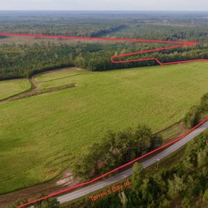 Photo #1 of TBD Terrell's Bay Rd., Marion, SC 165.0 acres