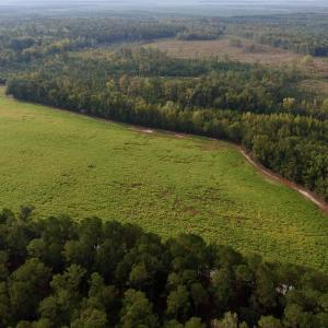 Photo #2 of TBD Terrell's Bay Rd., Marion, SC 165.0 acres
