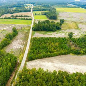 Photo #3 of Lot 4 Middle Rd., Nichols, SC 2.4 acres
