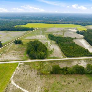 Photo #15 of Lot 4 Middle Rd., Nichols, SC 2.4 acres