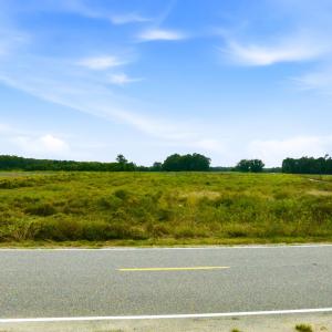 Photo #11 of Lot 9 Kemper Rd., Nichols, SC 2.3 acres