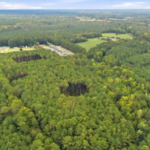 Photo #9 of Lot 3 Daphane Dr., Loris, SC 9.5 acres