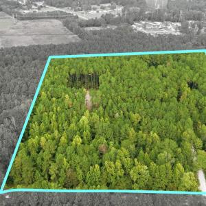 Photo #4 of Lot 3 Daphane Dr., Loris, SC 9.5 acres