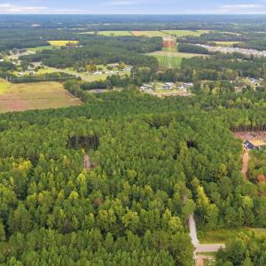 Photo #11 of Lot 3 Daphane Dr., Loris, SC 9.5 acres