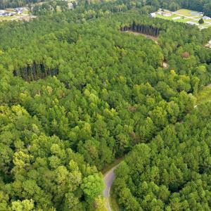 Photo #8 of Lot 3 Daphane Dr., Loris, SC 9.5 acres