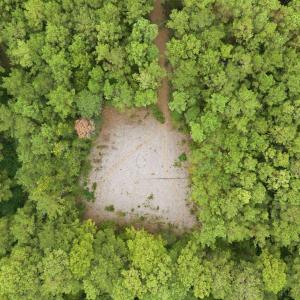 Photo #7 of Lot 3 Daphane Dr., Loris, SC 9.5 acres