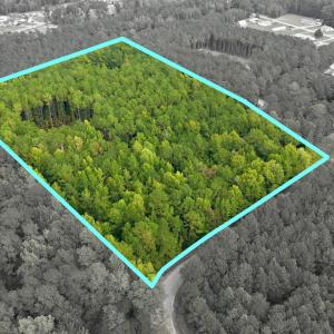 Photo #3 of Lot 3 Daphane Dr., Loris, SC 9.5 acres