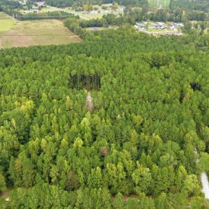 Photo #5 of Lot 3 Daphane Dr., Loris, SC 9.5 acres
