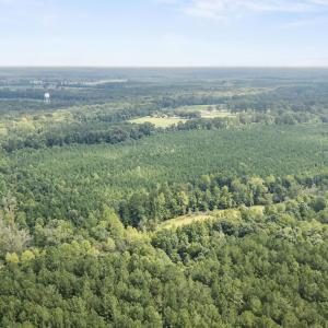 Photo #8 of TBA Bill Hooks Rd., Whiteville, NC 39.1 acres