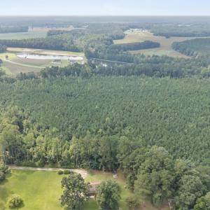 Photo #7 of TBA Bill Hooks Rd., Whiteville, NC 39.1 acres