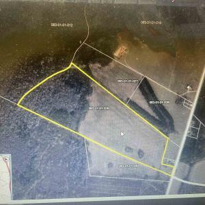 Photo #9 of Screwpin Rd, Blenheim, SC 83.4 acres