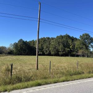 Photo #4 of Screwpin Rd, Blenheim, SC 83.4 acres