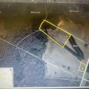 Photo #10 of Screwpin Rd, Blenheim, SC 83.4 acres