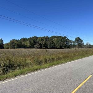 Photo #2 of Screwpin Rd, Blenheim, SC 83.4 acres